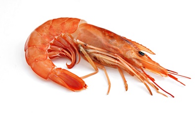 Langostino Abordo Austral 50-100 g/pza (1) (10-20) 2Kg