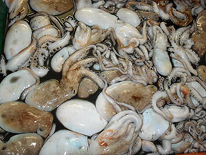 Pulpo Blanco Playa [1 Ud/Caja]