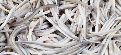 Gulas Aguinaga (2X150Gr.) 20X300Gr.