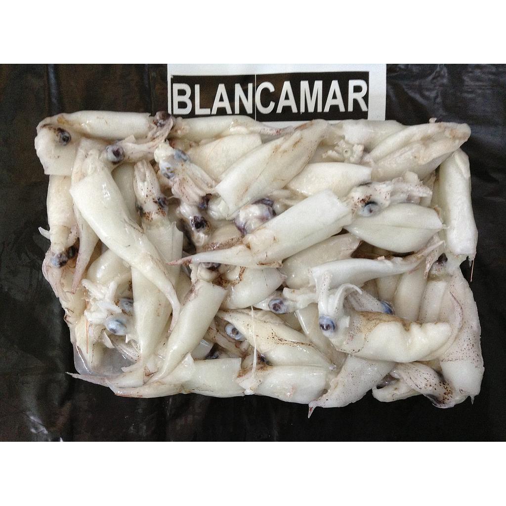 Calamar Puntilla Marroqui  14x500gr