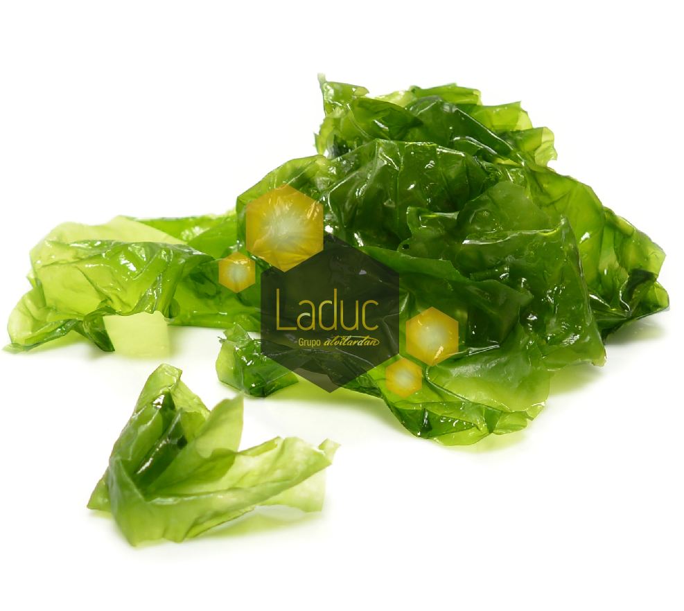 (E) Alga Lechuga De Mar [4 Ud X200Gr][Vta. Caja]