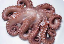 Pulpo T1 Artesanal FAO34 4-6kg/pieza