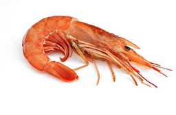 [3321201] Langostino Abordo Austral 50-100 g/pza (1) (10-20) 2Kg