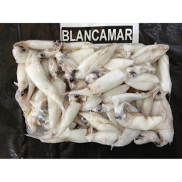 [3322123] Calamar Puntilla Marroqui  14x500gr