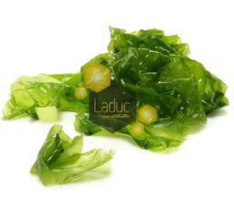 [4876] (E) Alga Lechuga De Mar [4 Ud X200Gr][Vta. Caja]